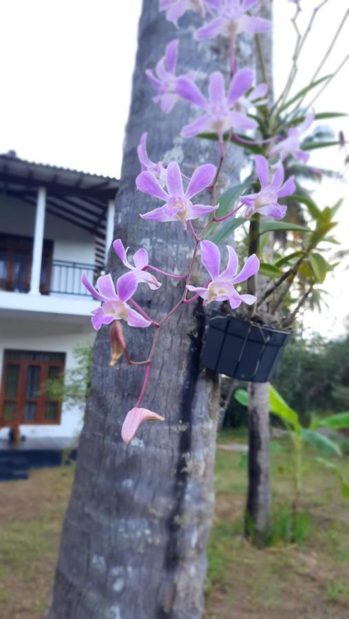 Mellow Villa Tangalle Luaran gambar